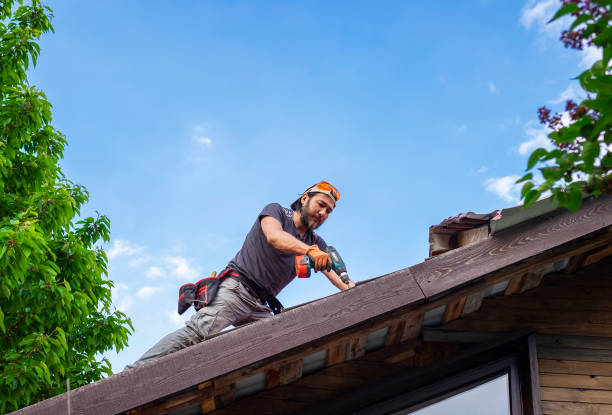 Best Gutter Installation and Repair  in Lincoln, AL
