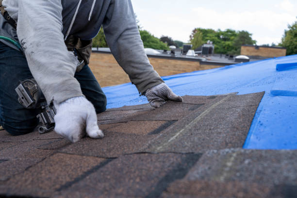 Fast & Reliable Emergency Roof Repairs in Lincoln, AL